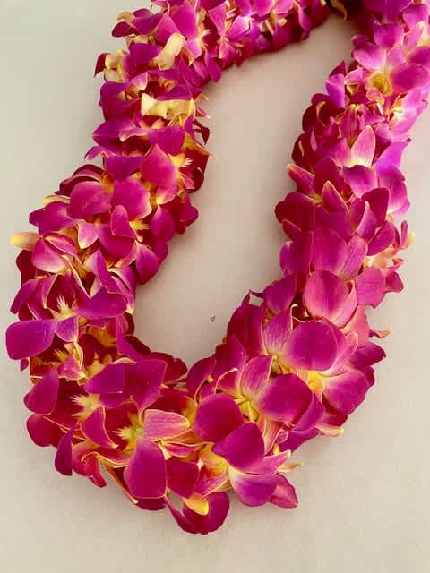 Pink and magenta orchid lei on a light background