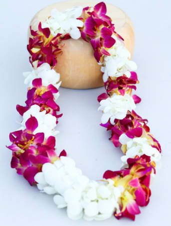 Pink and white orchid lei draped around a coconut shell