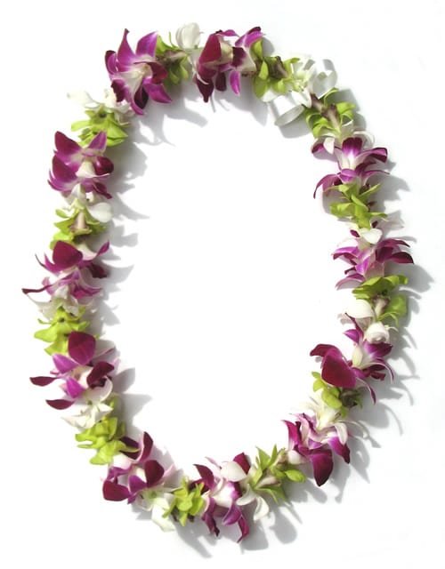 Purple and white orchid lei with green accents on a white background