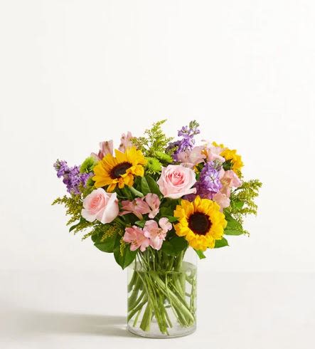 Garden of Grandeur Flower  -  Pet Friendly? No . While roses and alstroemeria are generally safer, the inclusion of Green Button Poms (Chrysanthemums) can cause digestive upset if ingested by cats or dogs. Keep this arrangement on a high counter out of reach of curious household pets.    Human Allergy Note : This arrangement contains Sunflowers and Solidago, which are known to carry heavy pollen. To minimize irritation, keep the vase away from bedside tables and ensure the room is well-ventilated.   Care &amp; Longevity : To keep these garden blooms fresh, trim the stems at a 45-degree angle before placing them in the vase. Ensure the glass is filled with clean, lukewarm water and change it every two days. Keep the arrangement away from direct sunlight, cooling vents, or ripening fruit to prevent premature wilting.    Best Occasions &amp; Situations :  - Vibrant birthday surprise  - Get well soon gesture  - Graduation or promotion celebration  - Warm housewarming gift  - Thank you or appreciation ️ - Summer dinner party centerpiece  - New baby celebration (gender neutral/bright)  Why Customers Love It : - Bold Color Balance: The mix of primary yellows and soft pastels creates a striking visual contrast. - Impressive Stature: The height of the stock and sunflowers makes this a grand statement piece. - Fragrant Presence: The lavender stock provides a lovely, spicy-sweet scent that fills the room. - Long-Lasting Blooms: Alstroemeria and button poms are known for their exceptional vase life.