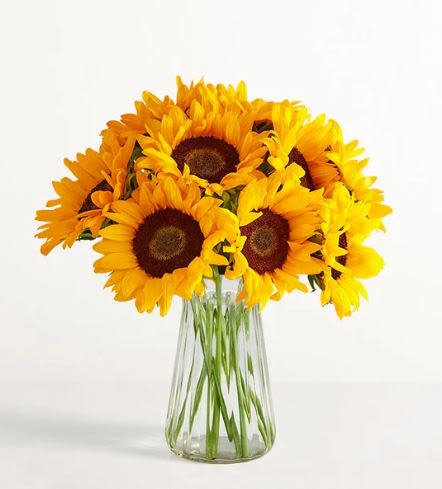 Sunflower Flower -  Pet Friendly? No While Sunflowers themselves are generally non-toxic to household pets like cats and dogs, the heavy pollen can sometimes cause mild stomach upset if ingested. Keep out of reach; avoid homes with curious cats to prevent the vase from being tipped over.   Human Allergy Note : Sunflowers are pollen-heavy flowers that may trigger sensitivities in some individuals. Keep the arrangement in a well-ventilated area and away from bedside tables if the recipient has known pollen allergies.   Care &amp; Longevity : To keep your sunflowers standing tall, trim the stems at a 45-degree angle upon arrival and place them in a clean vase with fresh, room-temperature water. Change the water every 2 days to prevent bacteria buildup, as sunflowers are “heavy drinkers.” Avoid placing them in direct sun, near heat sources, or under AC vents, and remove any fading leaves that fall below the waterline.   Best Occasions &amp; Situations :  - Birthday celebration  - Congratulations / Graduation  - Get well soon / Cheer up  - Housewarming gift  - Thanksgiving  - Just because  - Summer garden party   Why Customers Love It : - Instant mood booster thanks to the bright, cheerful color palette. - Sturdy stems and long-lasting blooms provide excellent value. - Vibrant presentation that works for almost any casual or celebratory occasion. - Classic fluted vase that can be reused for future garden bouquets.