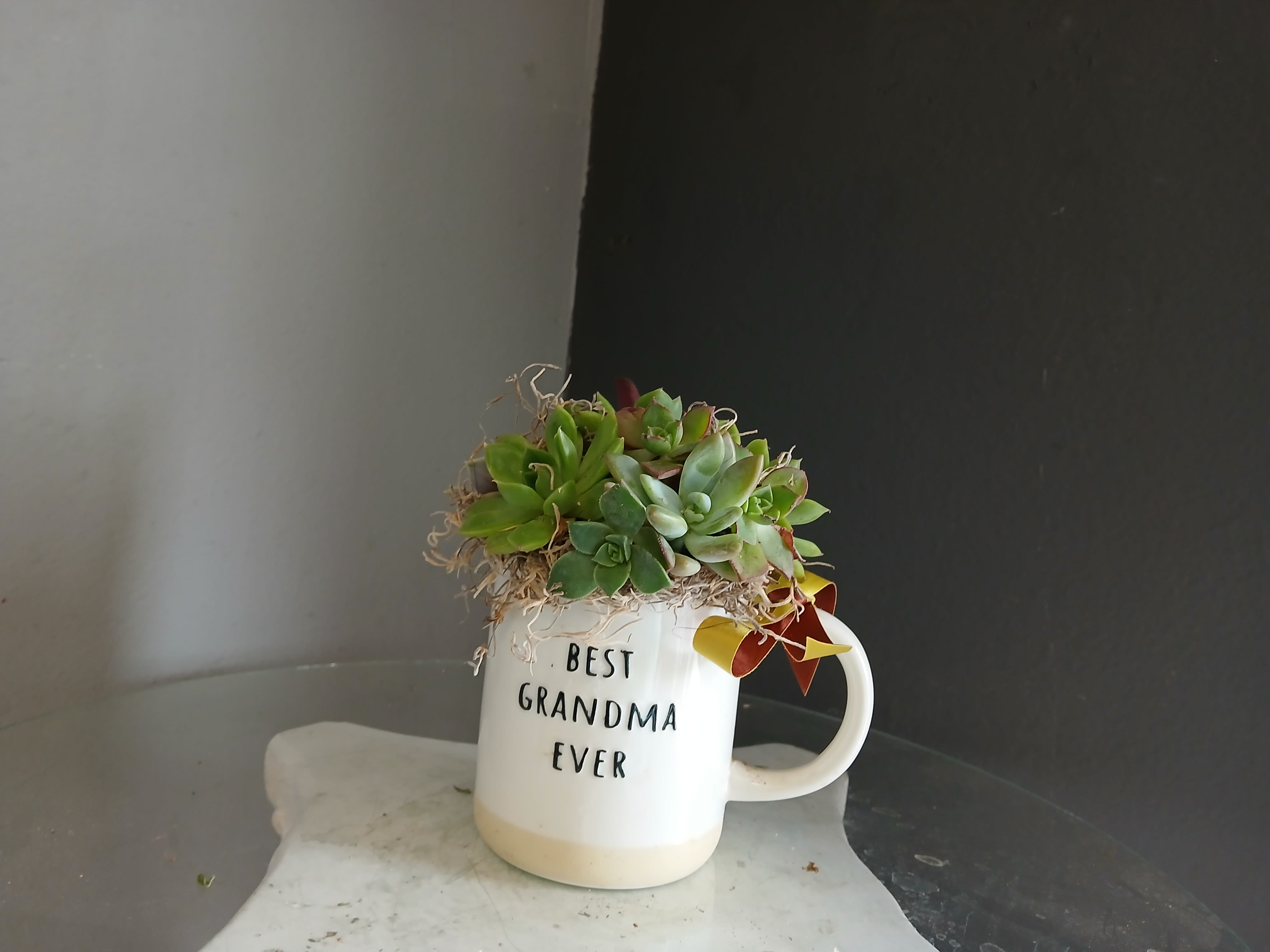 Best Grandma Ever Succulent - Precious succulent arrangement in a mugwith a brown and yellow bow.