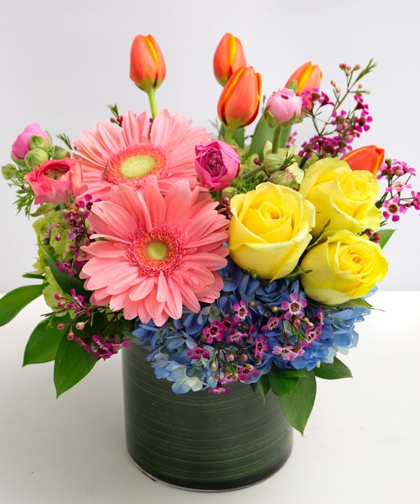 Colorful bouquet of gerbera daisies, roses, tulips, and hydrangeas in a dark vase