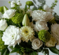 Designer's Choice - Simply White - A bouquet of in season flowers in a variety of whites and greens.