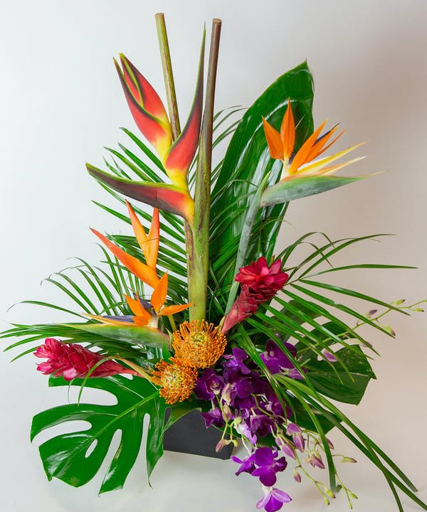Tropical floral arrangement with bird of paradise and purple orchids in a black container