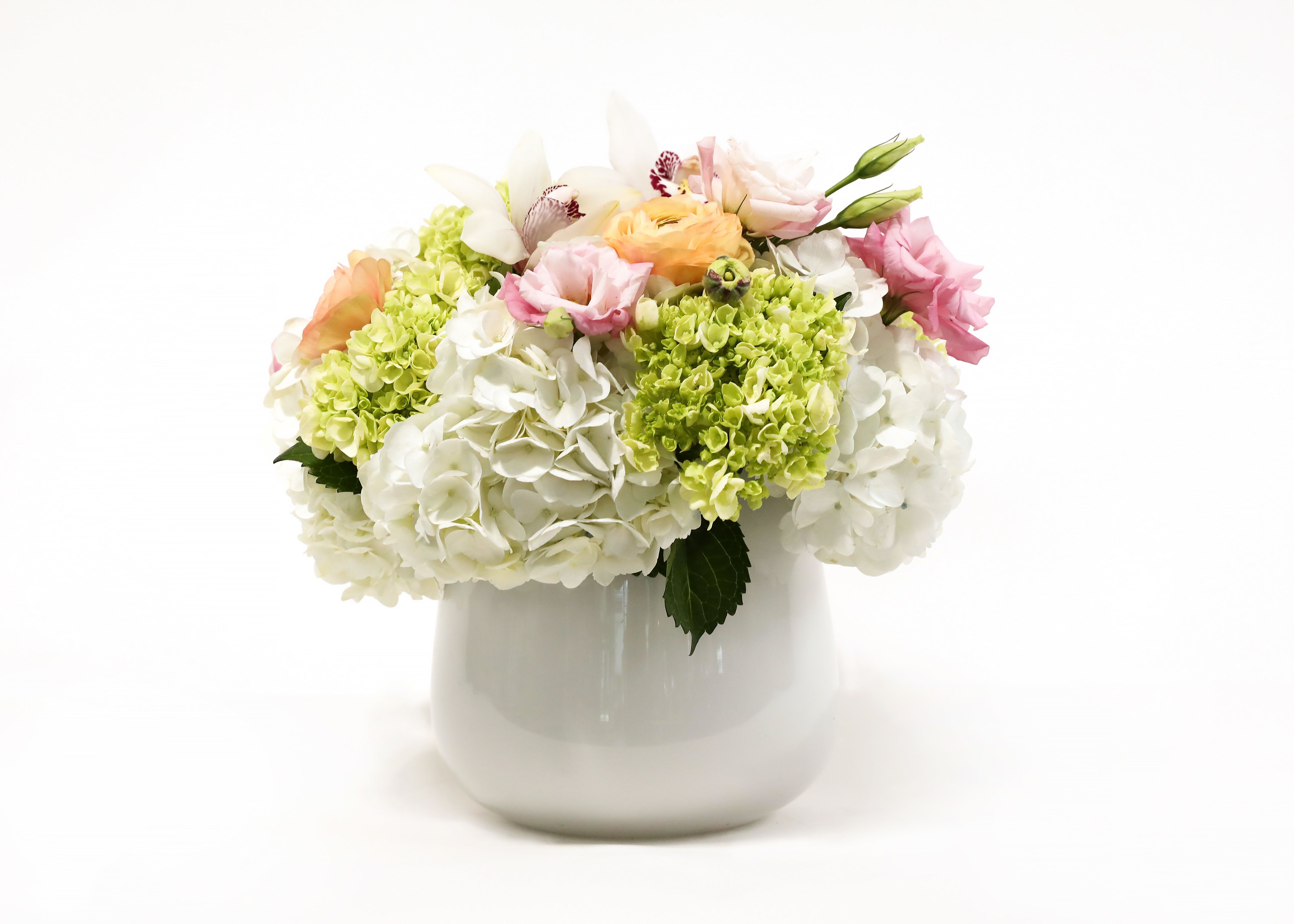SIMPLY SOOTHING - THIS ROUND ELEGANT WHITE VASE HAS ALWAYS BEEN A BEST SELLER. WE JUST CAN’T SEEM TO KEEP IT IN STOCK. WHITE &amp; MINI GREEN HYDRANGEA, WHITE CYMBIDIUM ORCHID, LISIANTHUS, AND RANUNCULUS TIGHTLY COMPACTED TOGETHER. 
