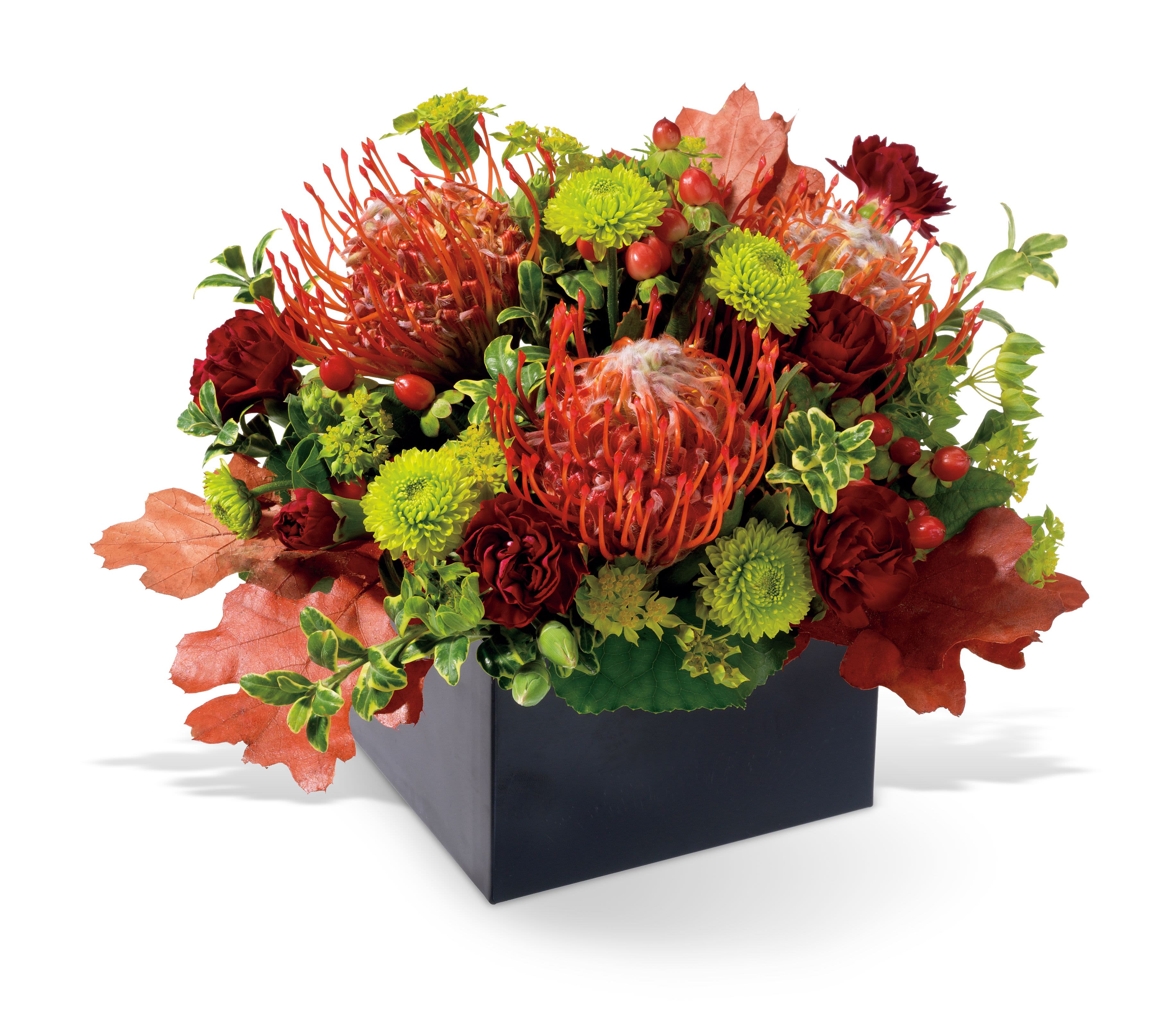 Autumn floral arrangement in a black square container with red and green blooms