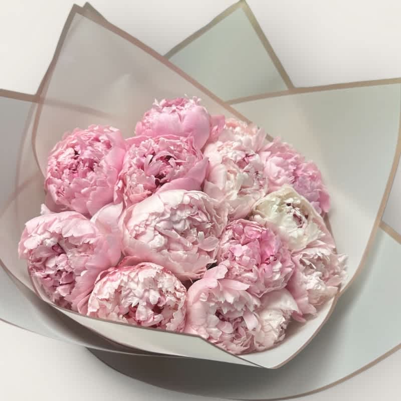 Bouquet of pale pink peonies wrapped in translucent paper