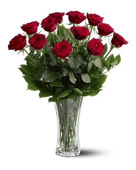 A Dozen Premium Red Roses - For classic romance a dozen red roses is always the perfect choice. One dozen long-stemmed red roses in a clear glass vase. Approximately 20" W x 24" H Orientation: All-Around