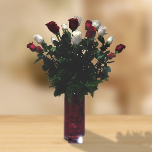Two dozen roses red and white, vase with petals  - One red dozen and one white roses in vase with petals inside