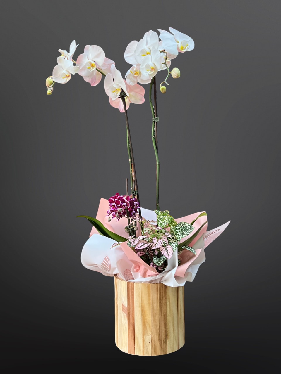 Glamorous orchid - Orchid plant has four stems of orchids and one green plant, styles and colors may vary depending on availability. 