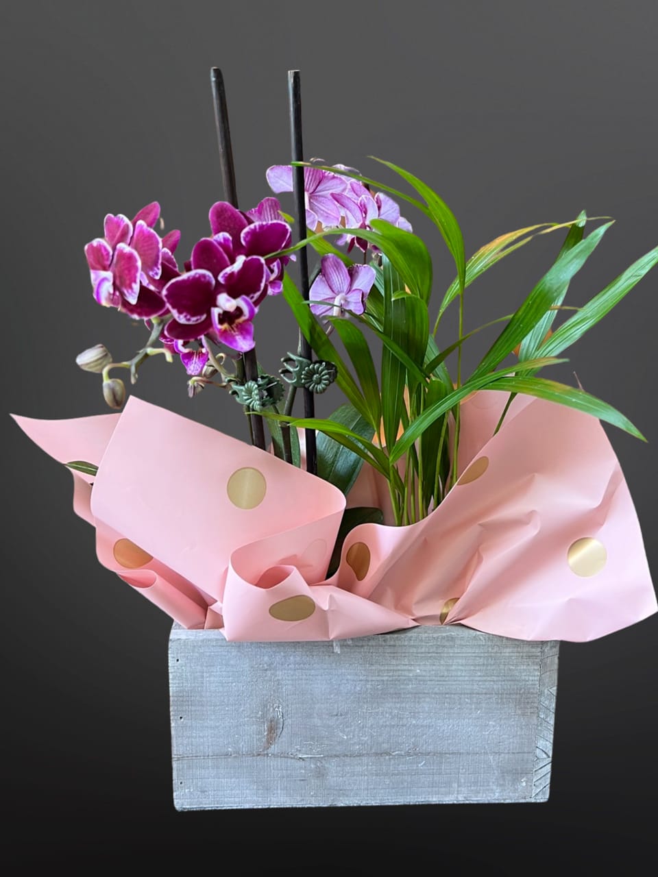 Love's Garden - This amazing arrangement has a single orchid plant with double heads and a single green plant. Varieties and colors of plants and container may vary depending on availability. A photo will be sent to you for approval before delivery.     