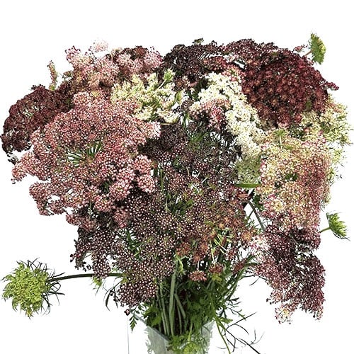 Large bouquet of tiny pink and white flowers in a clear vase