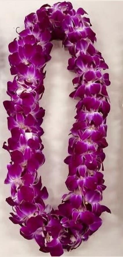 Graduation Orchid Lei (Double) - Celebrate your graduate’s big moment with a stunning, fresh orchid lei in the striking Bombay purple hue. Handcrafted with premium Dendrobium orchids, this lei features vibrant petals with hints of magenta and fuchsia, symbolizing pride, success, and admiration. Perfect for graduation ceremonies and photo ops, each lei is strung with care to create a full, elegant look that complements any cap and gown.  Details: Fresh, real orchids in the “Bombay” color, Double (A double orchid lei means the lei is made with twice the amount of flowers compared to a standard (single) lei. This creates a fuller, thicker, and more luxurious look. The flowers are often layered or woven more densely, making the lei stand out beautifully in photos and feel extra special for the occasion.)  Approx. 36” in length Arrives fresh and ready to wear Can be refrigerated to preserve freshness for event day  Give your grad a beautiful, unforgettable touch of aloha for their special day!