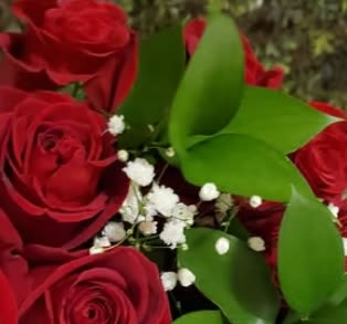 Close-up bouquet of red roses with white baby's breath
