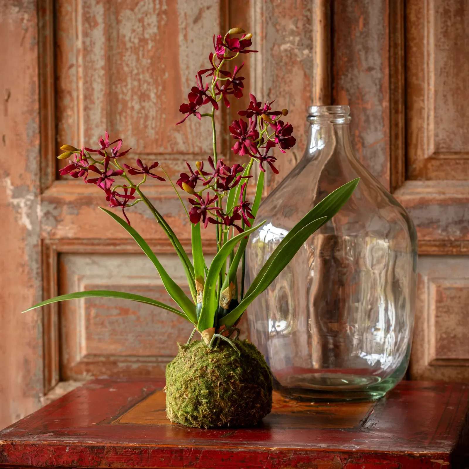 Maroon Mini Orchid Large Moss Ball - Dimensions: 13 x 20 x 17.5 (in)