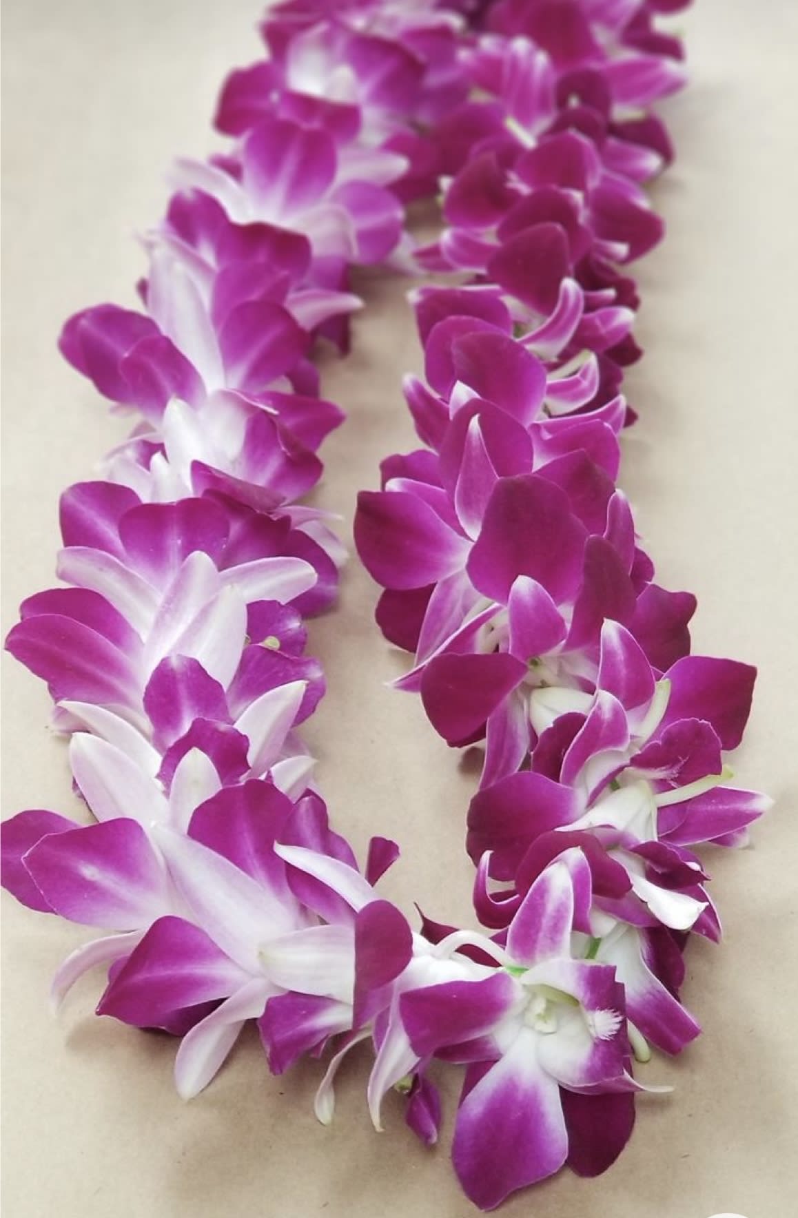 Orchid Flower Lei - Beautiful Dendrobium Orchid Lei - Available in Bombay (purple as shown - most popular) or White - single and double based on price (special colors upon request and pre-order)