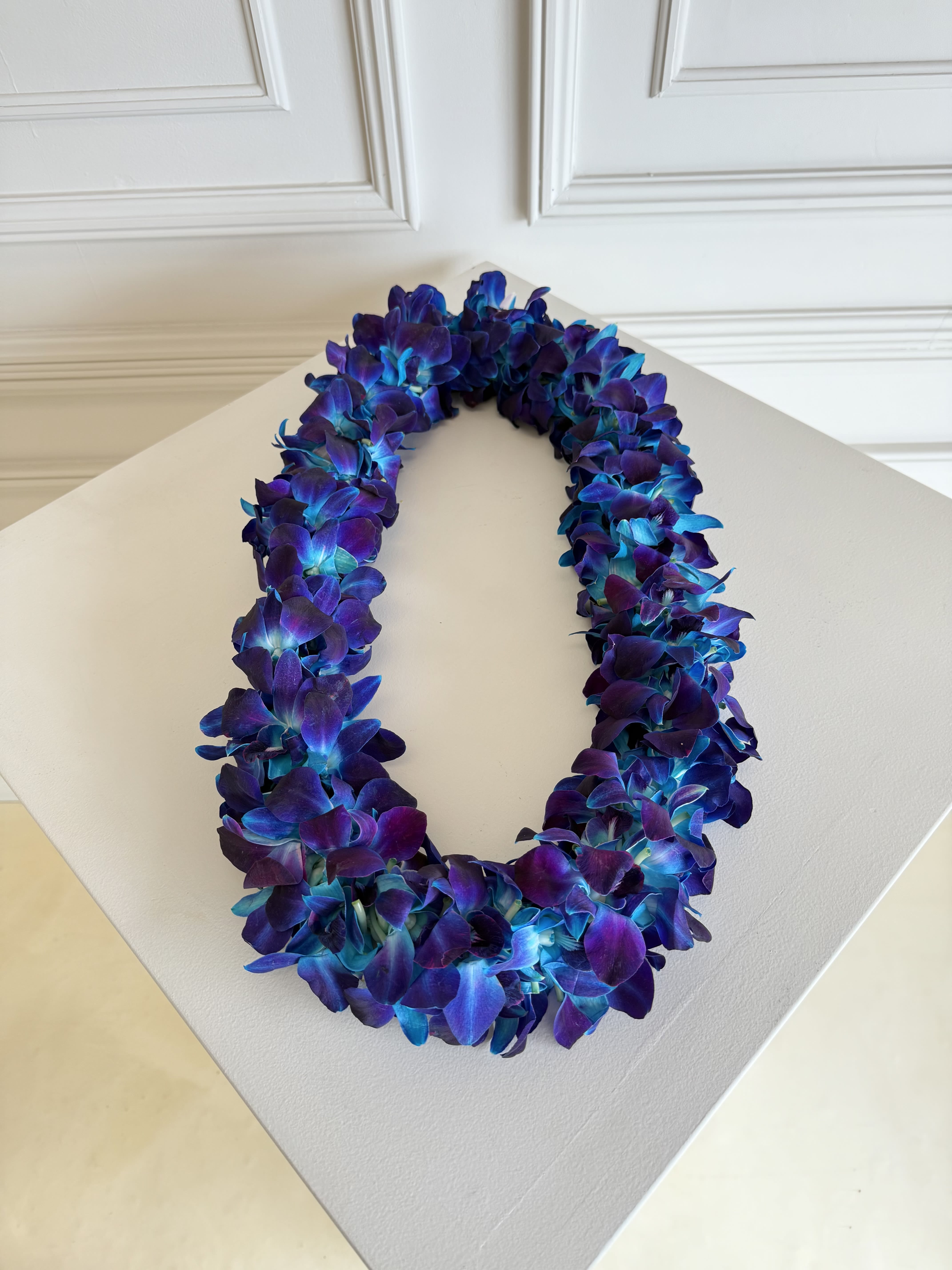 Orchid Lei (Blue)  - Fresh Orchid Lei for Graduation   Celebrate your grad in style with our beautiful, fresh orchid leis — perfect for making their big day extra special! 