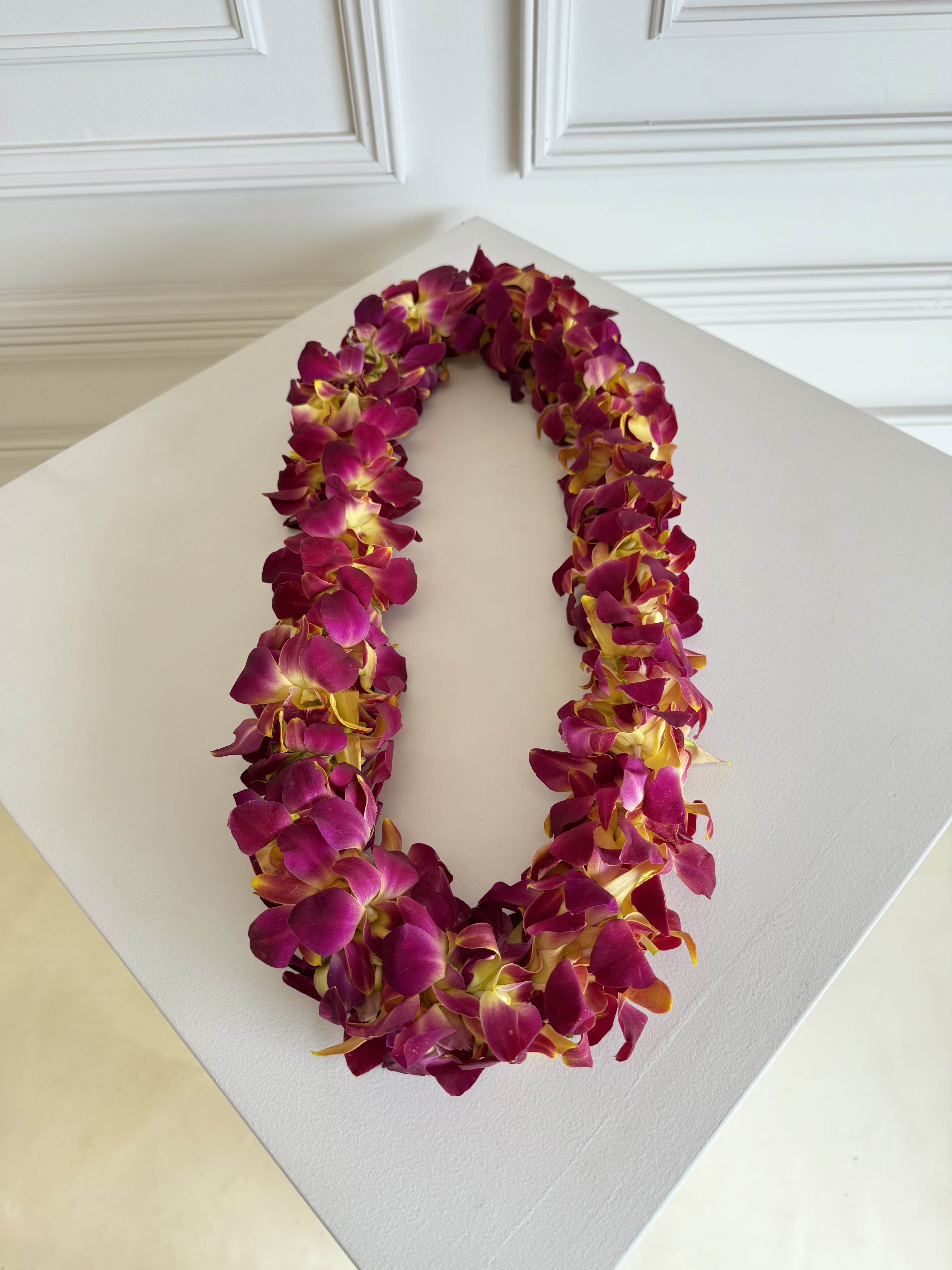 Orchid lei (Sunset)  - Fresh Orchid Lei for Graduation   Celebrate your grad in style with our beautiful, fresh orchid leis — perfect for making their big day extra special! 