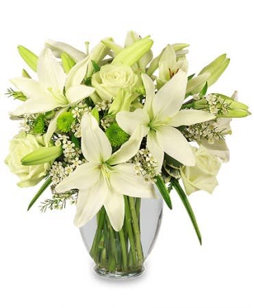 Simplicity - SIMPLICITY is a crisp white &amp; green arrangement that inspires feelings of purity and peace. Show loved ones how glad you are to have them in your life. 