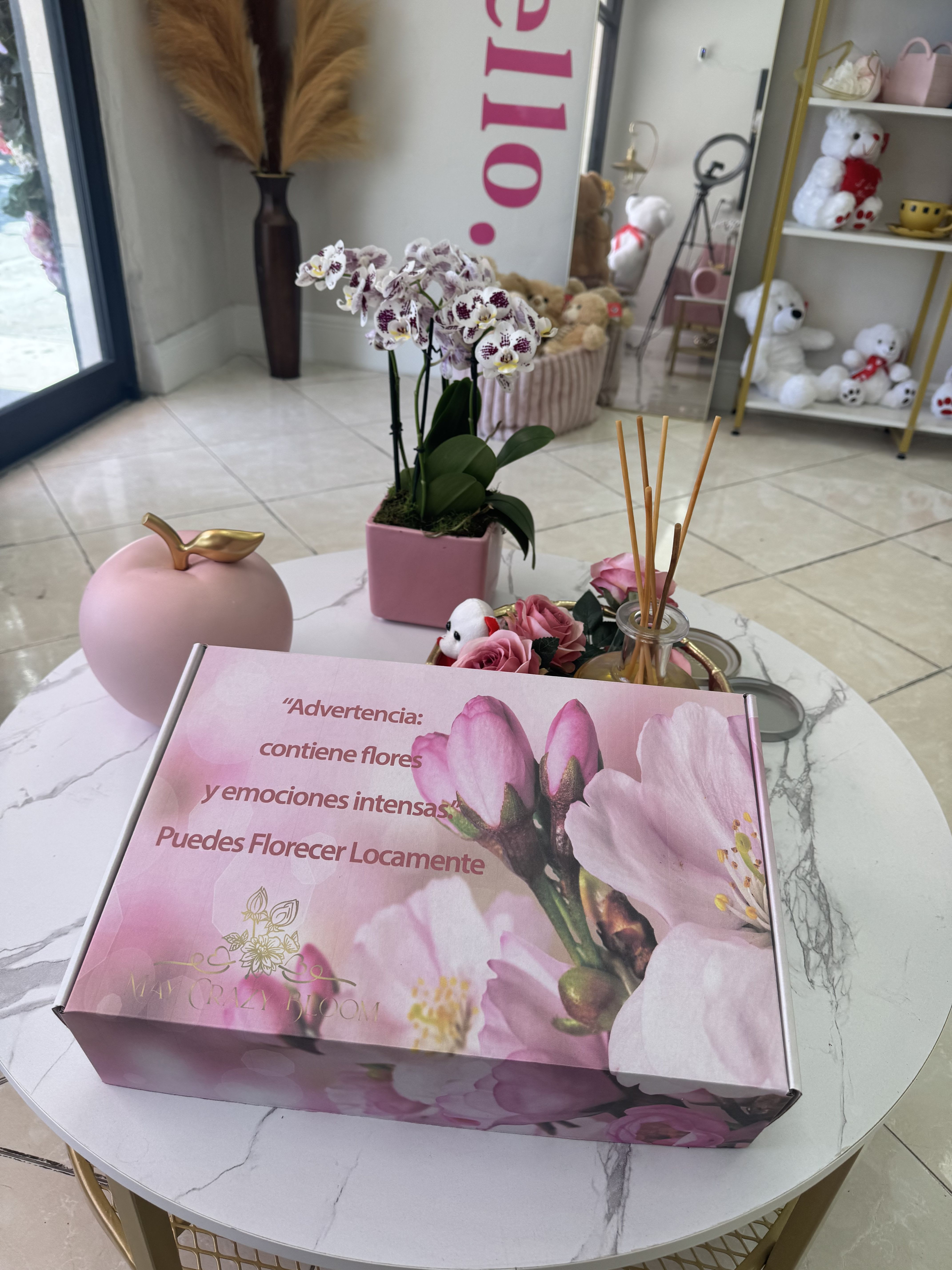 Pink orchid plant in a square pot beside a pink gift box