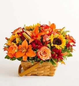 Fields of Europe for Fall Basket -  Pet Friendly? No . This arrangement contains Asiatic lilies — which are toxic to cats and possibly irritating to curious dogs. Keep out of reach of household pets and monitor around playful cats.   Human Allergy Note : Use caution if sensitive to pollen-heavy flowers (lilies can shed pollen). Consider removing anthers upon delivery and avoid placing near bedding if allergies are a concern.    Care &amp; Longevity : Trim stems ½" and place in a clean container with fresh water. Change water every 2–3 days. Keep cool, away from direct sun and heat vents. Remove fading blooms promptly to extend overall freshness.   Best Occasions &amp; Situations : - Autumn gatherings - Thanksgiving centerpiece - Fall birthdays - Get well wishes - Boss’s Day - Housewarming gift - Thinking of you - Just because   Why Customers Love It : - Vibrant fall colors that reflect autumn’s warmth. - Rustic basket design feels homey and thoughtful. - All-around arrangement stands beautifully on tables or counters. - Versatile gift for many occasions across the season. - Fresh seasonal blooms hand-selected by professional florists.