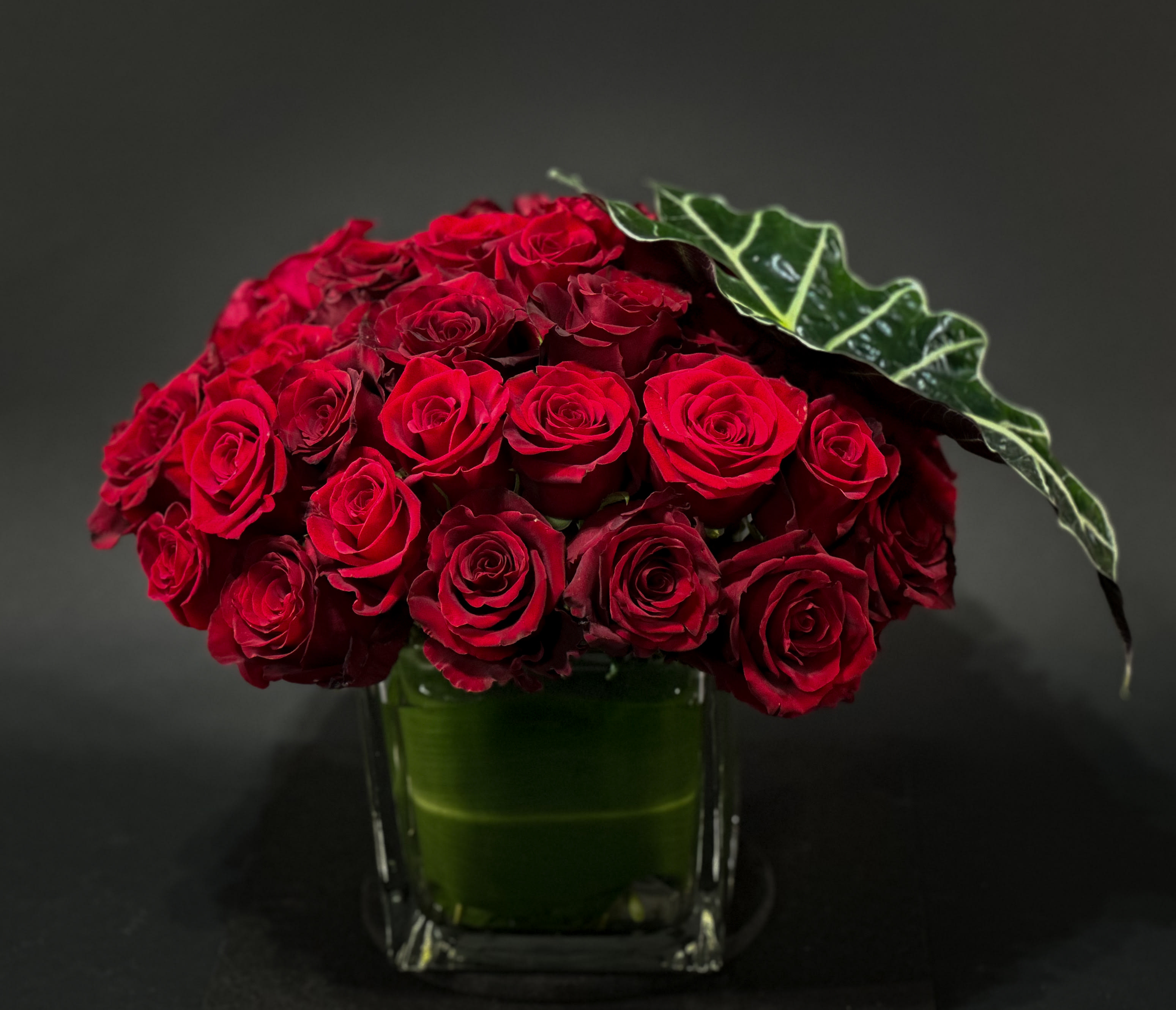 Two Dozen Red roses  - Low and dense floral arrangement of red roses