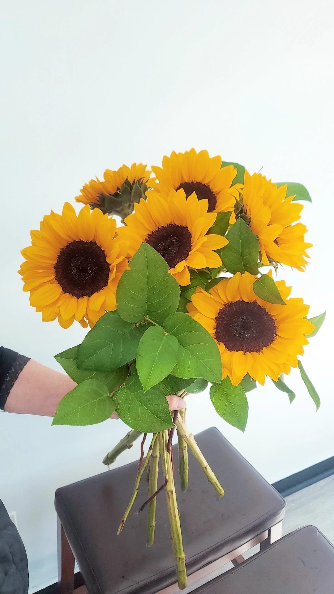 Bouquet of yellow sunflowers with green leaves