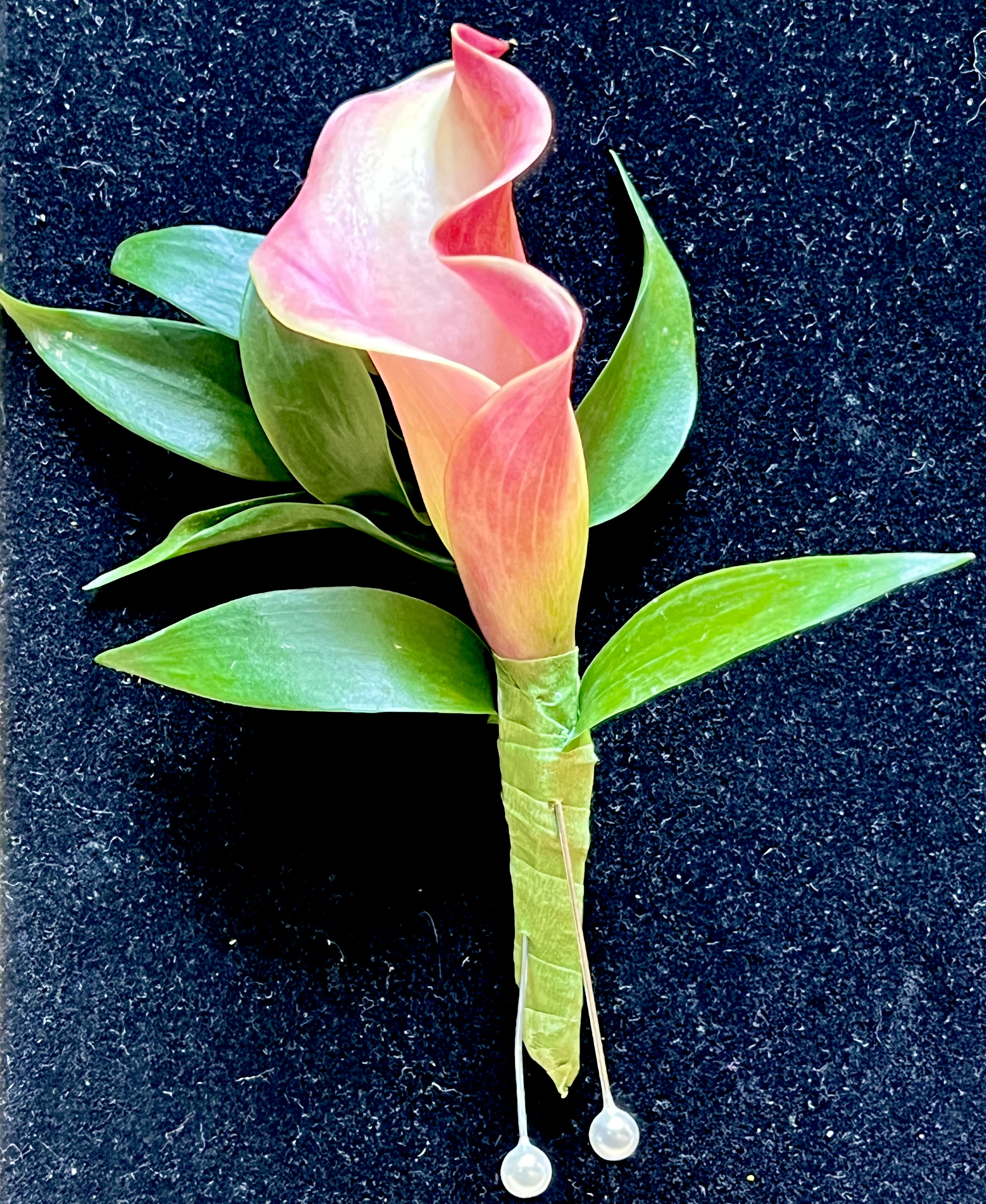 Pink calla lily boutonniere with green leaves on a dark background