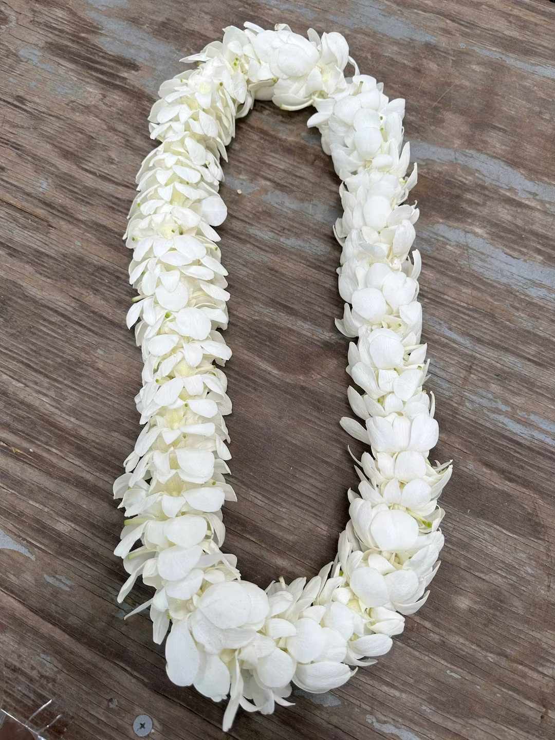 Graduation White Double Lei. - Celebrate life’s milestones with our beautiful handcrafted Hawaiian-style leis , a timeless symbol of love, honor, and good luck. Perfect for graduations, weddings, and special occasions. Typically available in classic purple, blue or elegant white. For custom colors, please call ahead. Kindly allow 24–48 hours for delivery.