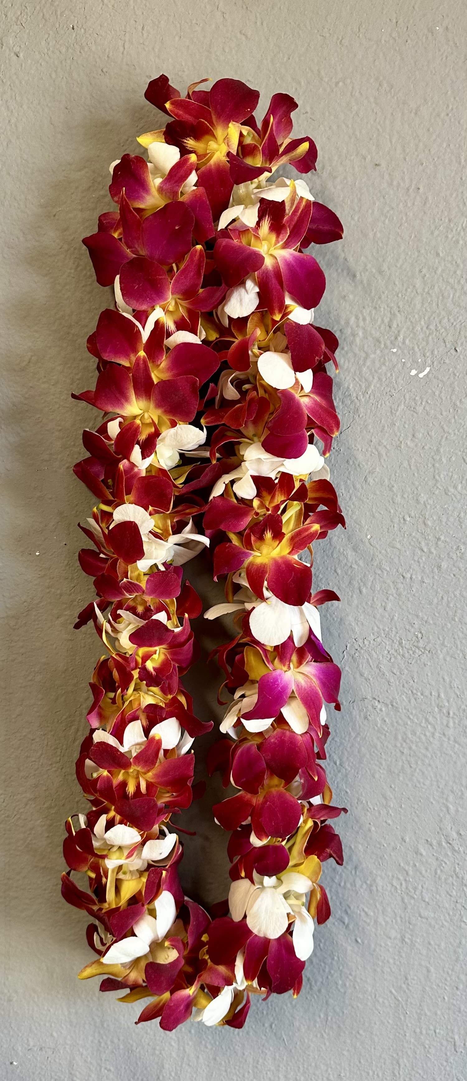 Two orchid leis in red, white, and yellow hang against a wall.