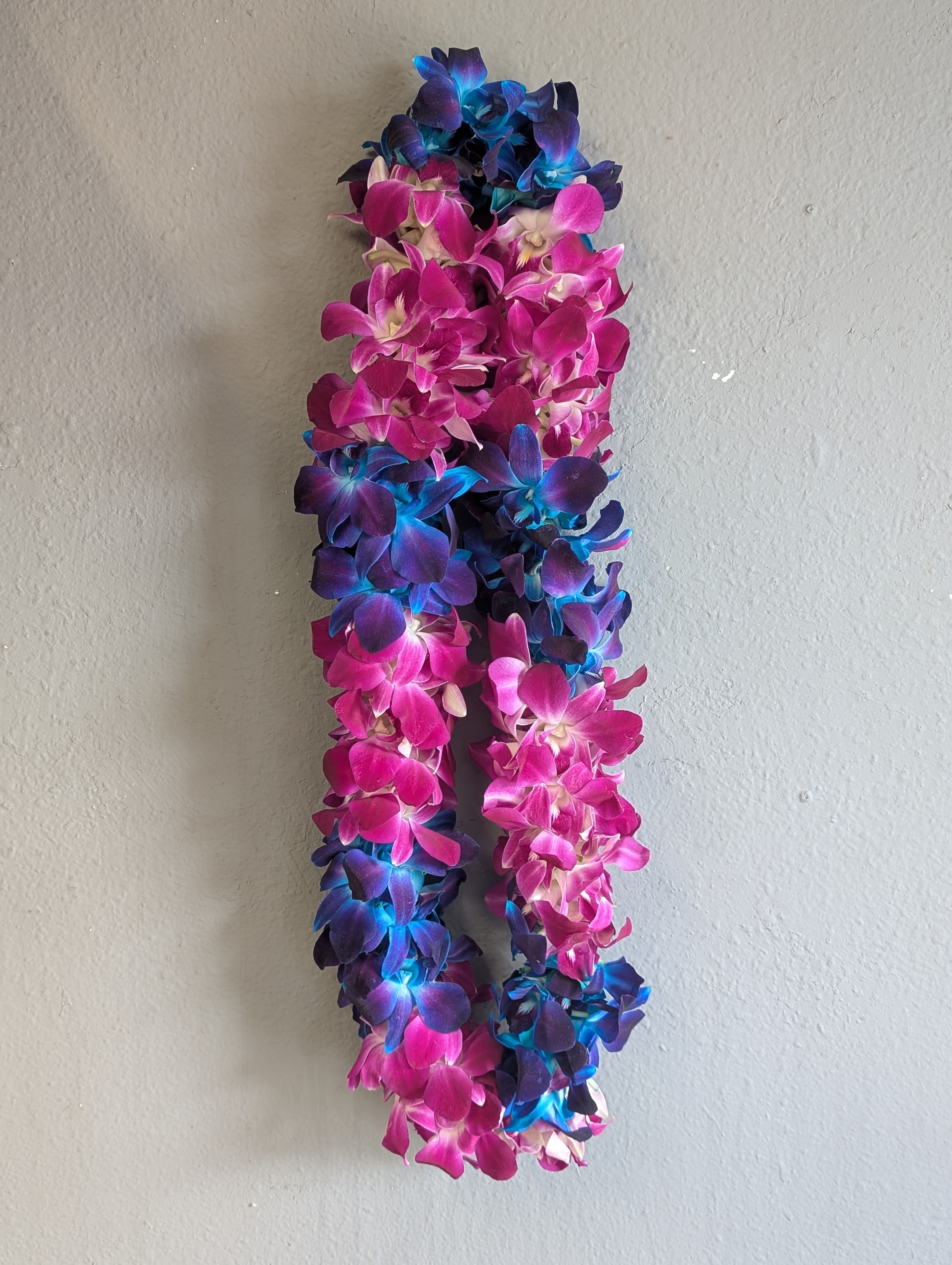 Two-tone orchid lei in pink, purple, and blue
