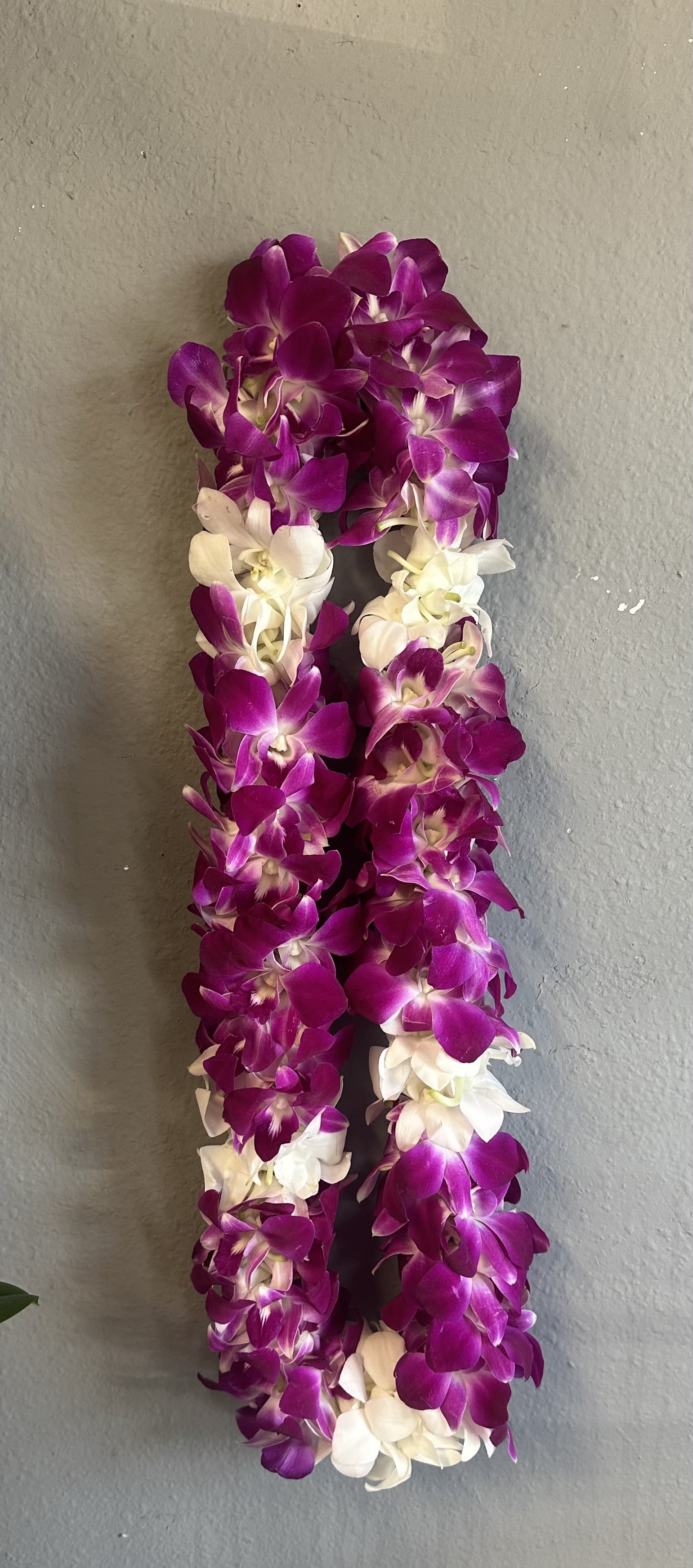 Purple and white orchid lei hanging against a gray wall