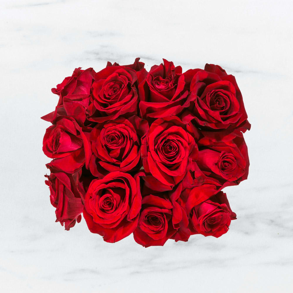 Radiant in Red by BloomNation™ - This bold yet tasteful bouquet is the perfect size for any desk. Radiant in Red by BloomNation™ makes a great gift for Valentine's Day, a Birthday, or an Anniversary.  Arrangement Details: 12 Red Roses in a White, Cubed Vase APPROXIMATE DIMENSIONS 8" H X 10" L X 8"W