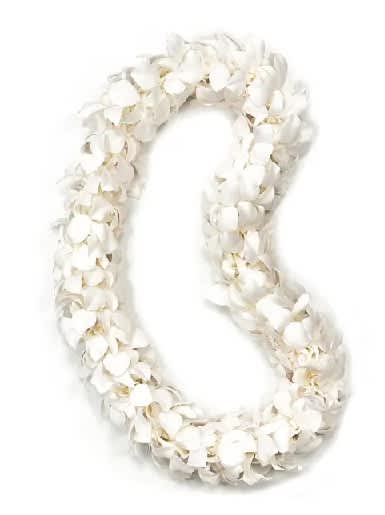 White flower lei on a plain background
