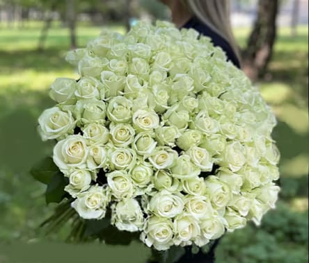 Large bouquet of white roses held outdoors