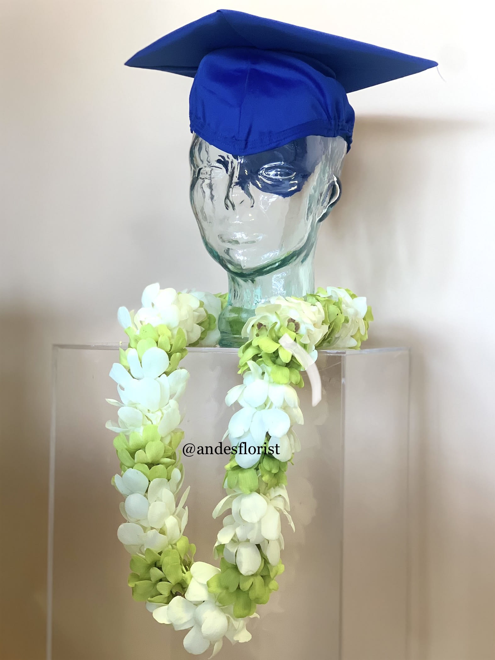 Glass bust wearing a blue graduation cap and a white-green flower lei