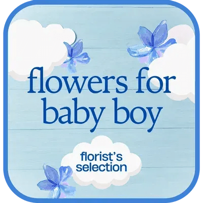 Designer's Choice - Baby Boy $100 - Let our florists do what they do best: create a one-of-a-kind bouquet with their freshest, most beautiful blooms. Our Designer's Choice bouquets are made exclusively with the season's best flowers, so varieties and colors may vary due to local availability.