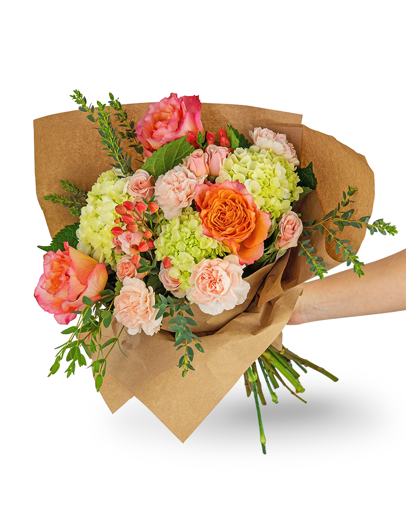 Malibu Bouquet - Our Malibu Bouquet features a variety of peach roses, peach carnations, hypericum berries, mini green hydrangea, and premium foliage in a hand-wrapped bouquet. This vibrant, hand-tied bouquet is the perfect gift for a friend, family member, or for yourself! Shop your local florist for the freshest and longest-lasting flowers and flower bouquets.