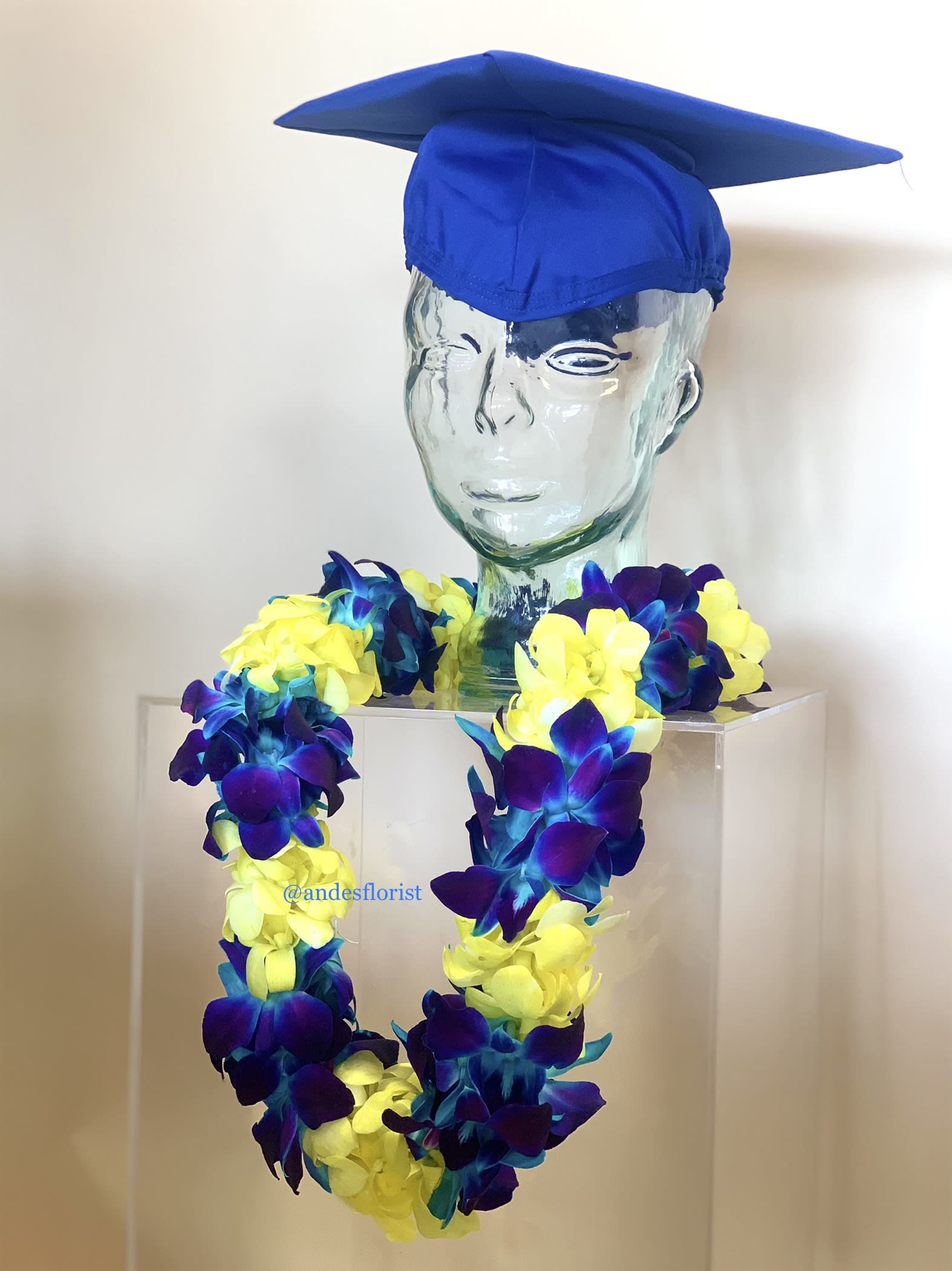 Graduation display with a blue cap and a lei of yellow and purple flowers