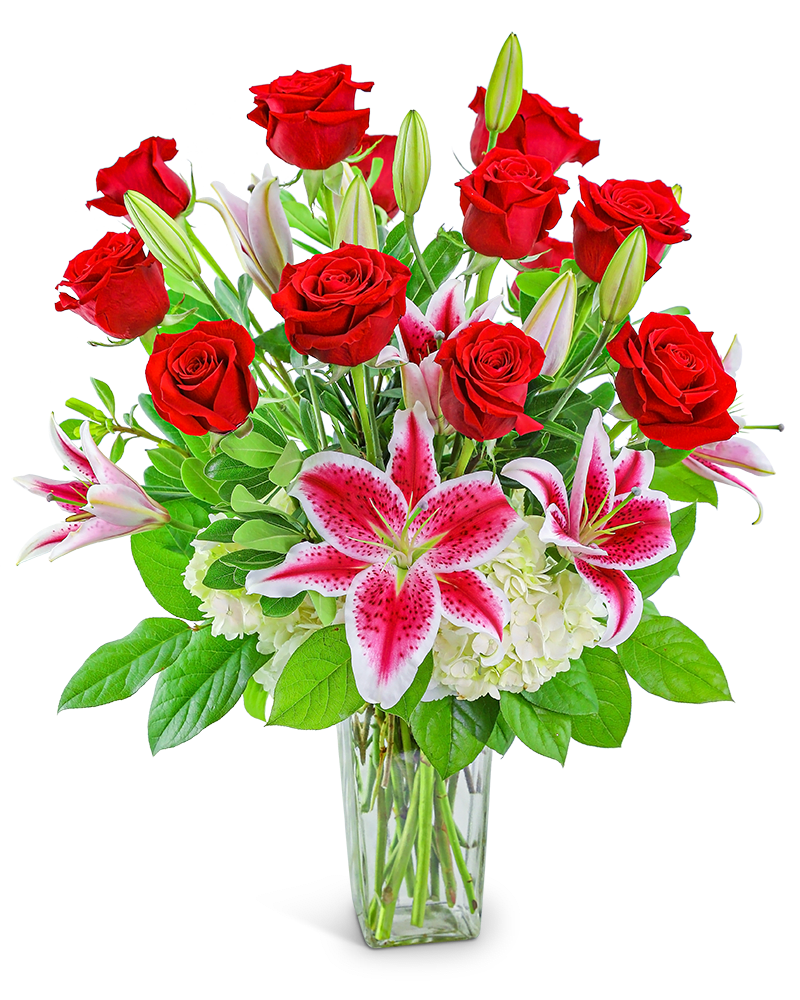 Enchanting Dozen - Send the traditional rose bouquet in a modern way! 12 long-stem red roses are artfully designed by our expert florist with this fresh, romantic arrangement featuring Roses, Hydrangea, Lilies, and premium foliage. Our Enchanting Dozen is a perfect gift for anniversaries, birthdays, a housewarming gift, Valentine's Day, or any occasion!