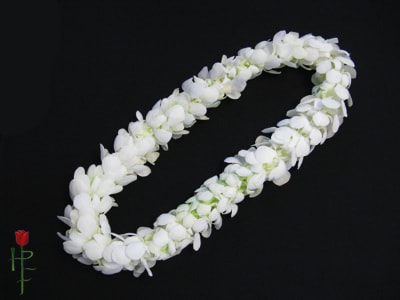 Double Graduation Orchid Lei / White - Double white dendrobium orchid lei.   NOTE: Please be aware the it takes 2-3 days for the order process. Same day pick up or delivery is not available. Feel free to contact us to inquire for any sooner availability.