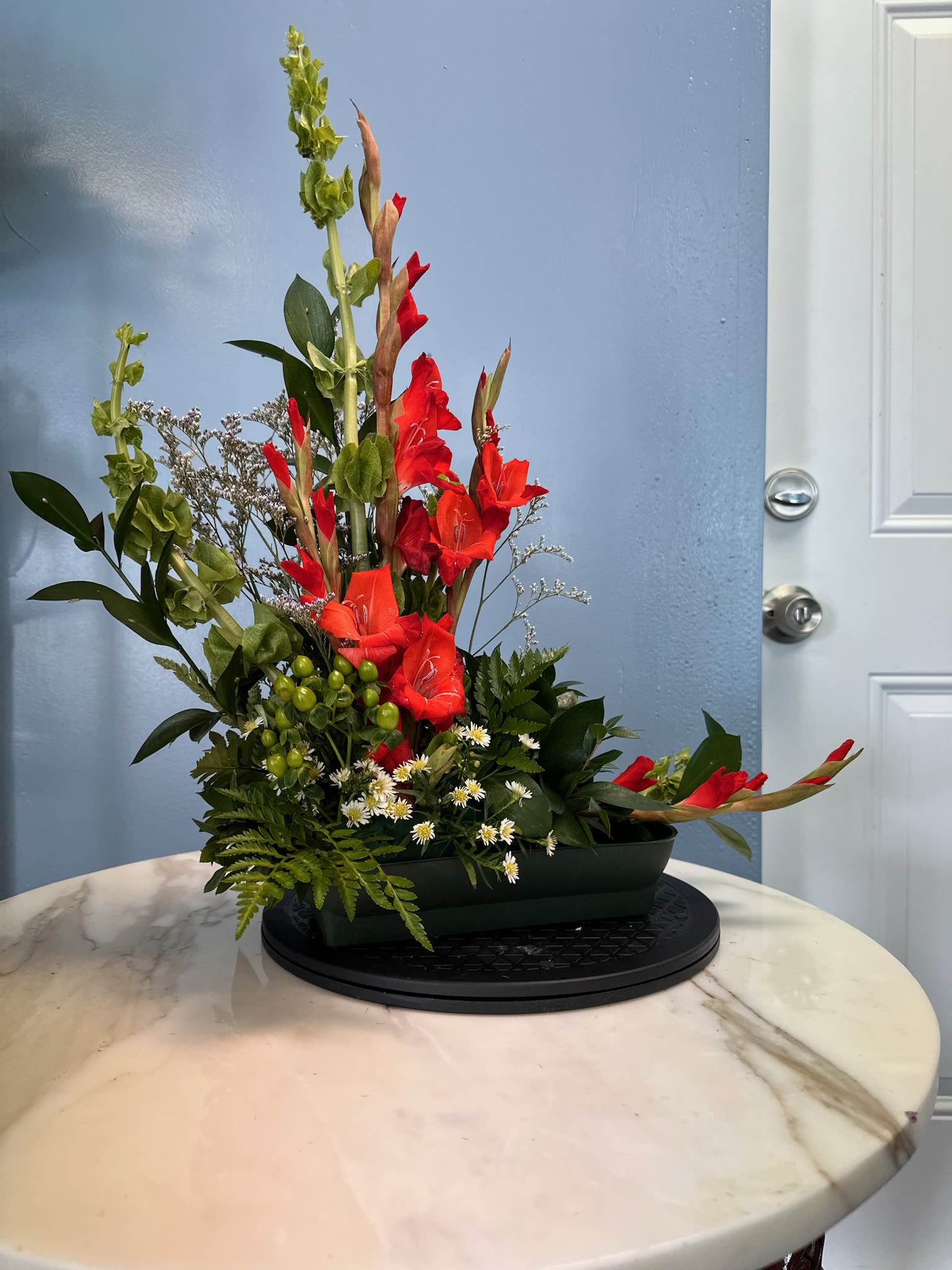 Victoria - Tall red gladiolus spikes create an immediate sense of celebration in this floral arrangement-perfect as a congratulatory bouquet or festive gift for a graduation or promotion. The vertical, architectural design of this flower arrangement gives the person you're thinking of a bold, uplifting impression: dramatic red blooms reaching upward with lively outward accents that draw the eye and command attention.  At the base a dense mix of deep green foliage is studded with small white daisy-like filler flowers, adding lightness and a cheerful contrast to the red gladiolus. The asymmetrical composition sits in a low rectangular floral container and is shown on a black rotating display stand, making it an excellent choice for entryway tables, podiums, or reception areas where the height and movement of the piece can be appreciated from multiple angles.  Choose this arrangement when you want to make someone feel noticed and celebrated-ideal for milestone moments or to brighten an office or event space. The upright form holds its shape well; keep in fresh, cool water and away from direct heat to extend bloom life.