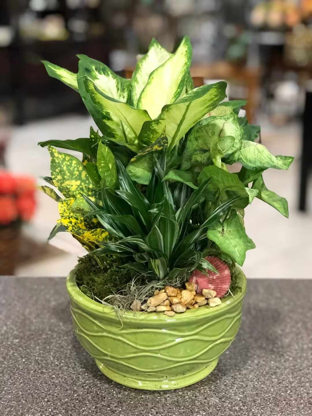 Potted green foliage arrangement in a lime ceramic bowl