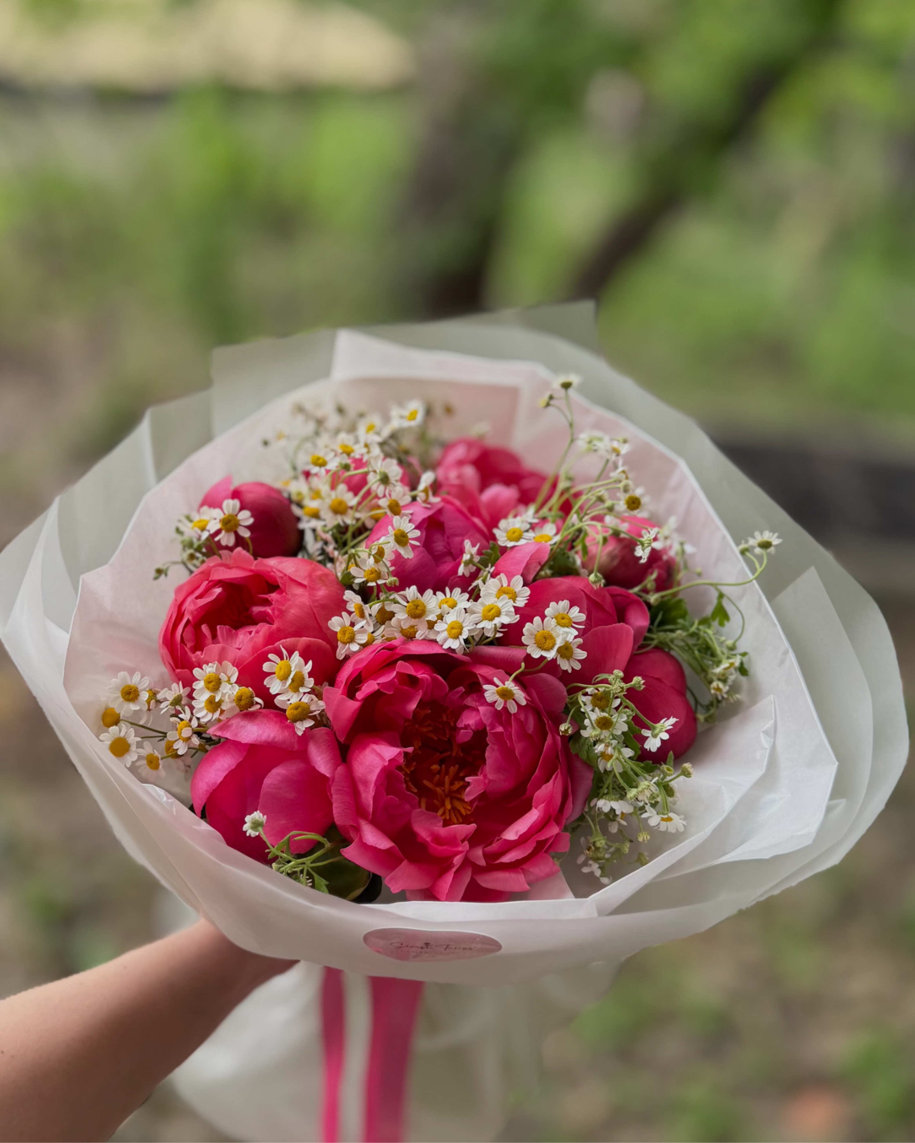 Bouquet of the Month (May&amp;June) - Vivid pink peonies take center stage in this springtime bouquet-perfect for a birthday bouquet, anniversary flowers, or a just-because gesture that reads as fresh, romantic, and lightly playful. The arrangement is designed to make the person you're thinking of feel celebrated: the lush, rounded peony blooms offer a soft, luxurious focal point while the small white daisy-like flowers add a cheerful, easygoing contrast.  Wrapped in translucent white paper and finished with a pink ribbon and floral sticker, the hand-tied presentation looks effortless and gift-ready. Colors are bright pink, white, and green; textures pair the peonies' loose, velvety petals with the delicate daisy clusters and fresh foliage. Sized as a personal bouquet, it's ideal for bedside vases or a small dining table display-no extra vase needed if you prefer the wrapped look, and simple care (fresh water and a cool spot away from direct sun) will keep the blooms at their best.