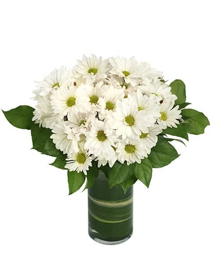 White daisy bouquet in a green glass vase