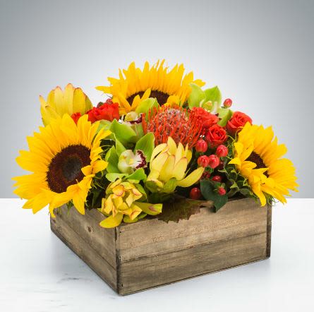 Picnic Flower -  Pet Friendly? NO . While roses and sunflowers are generally non-toxic, the Pincushion Protea and certain orchid varieties can cause mild digestive upset in household pets. Keep this arrangement out of reach of curious cats and dogs to prevent nibbling.   Human Allergy Note : Warning: Sunflowers are high-pollen flowers that may trigger sensitivities for those with hay fever. We recommend placing the arrangement in a well-ventilated area away from bedside tables.   Care &amp; Longevity : Because this is a wood box arrangement, the flowers are typically tucked into floral foam. To keep them fresh, check the moisture level daily and add water to the center of the box until the foam feels saturated. Mist the petals lightly and keep the box away from direct sunlight, heating vents, or drafty windows.   Best Occasions &amp; Situations : - Birthday celebration - Get well soon - Housewarming gift - Casual dinner party centerpiece - Congratulations on a new job - Thanksgiving or autumn gathering - Rustic-themed office decor   Why Customers Love It : - Rustic charm provided by the natural wooden crate. - Long-lasting blooms like orchids and protea ensure the gift stays beautiful. - Warm color palette that brightens up any room instantly. - Compact footprint that fits perfectly on smaller tables or desks. - Low-pollen alternative to arrangements heavy in lilies or daisies.
