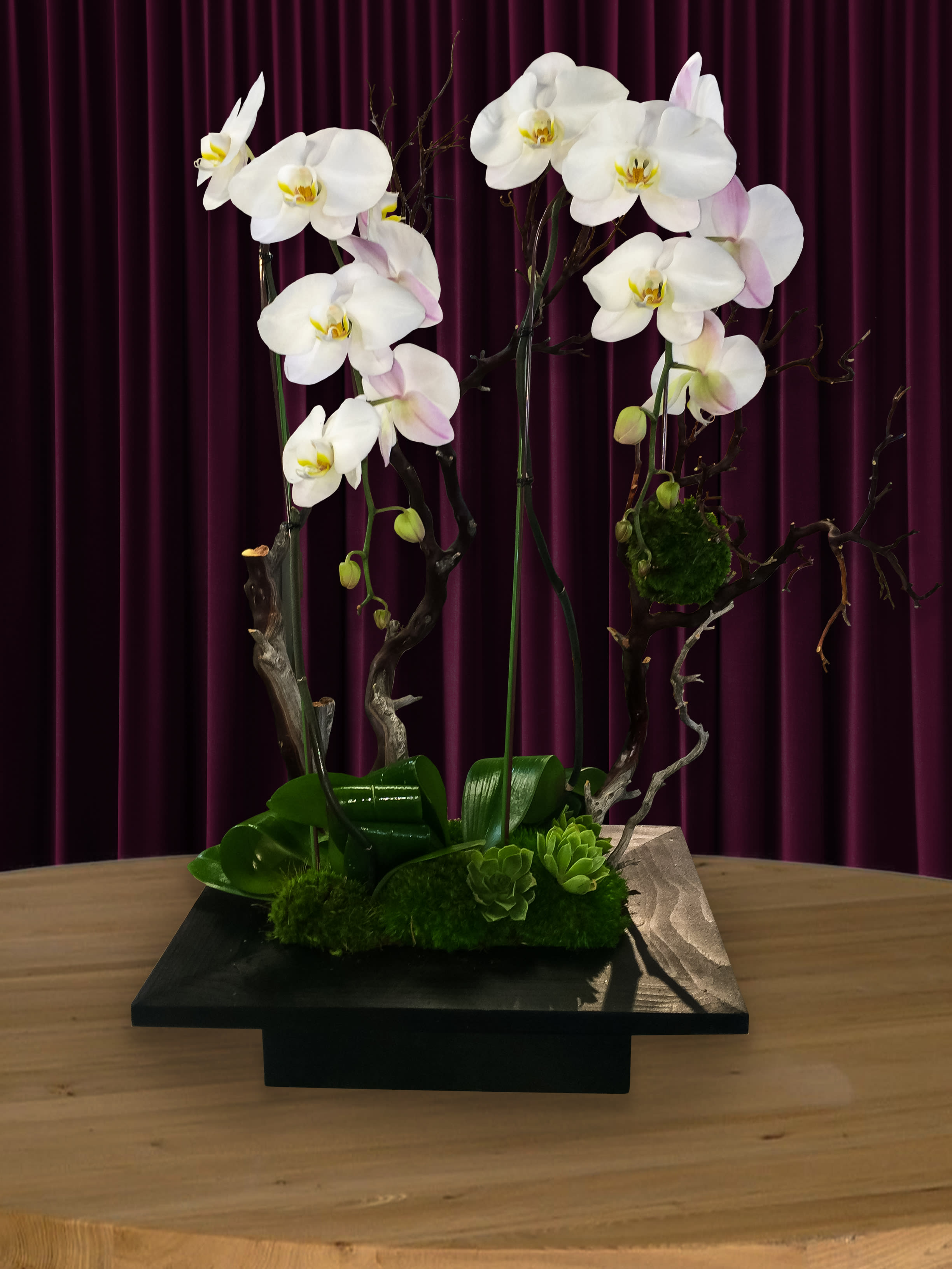 White orchids arranged on tall branches in a black base