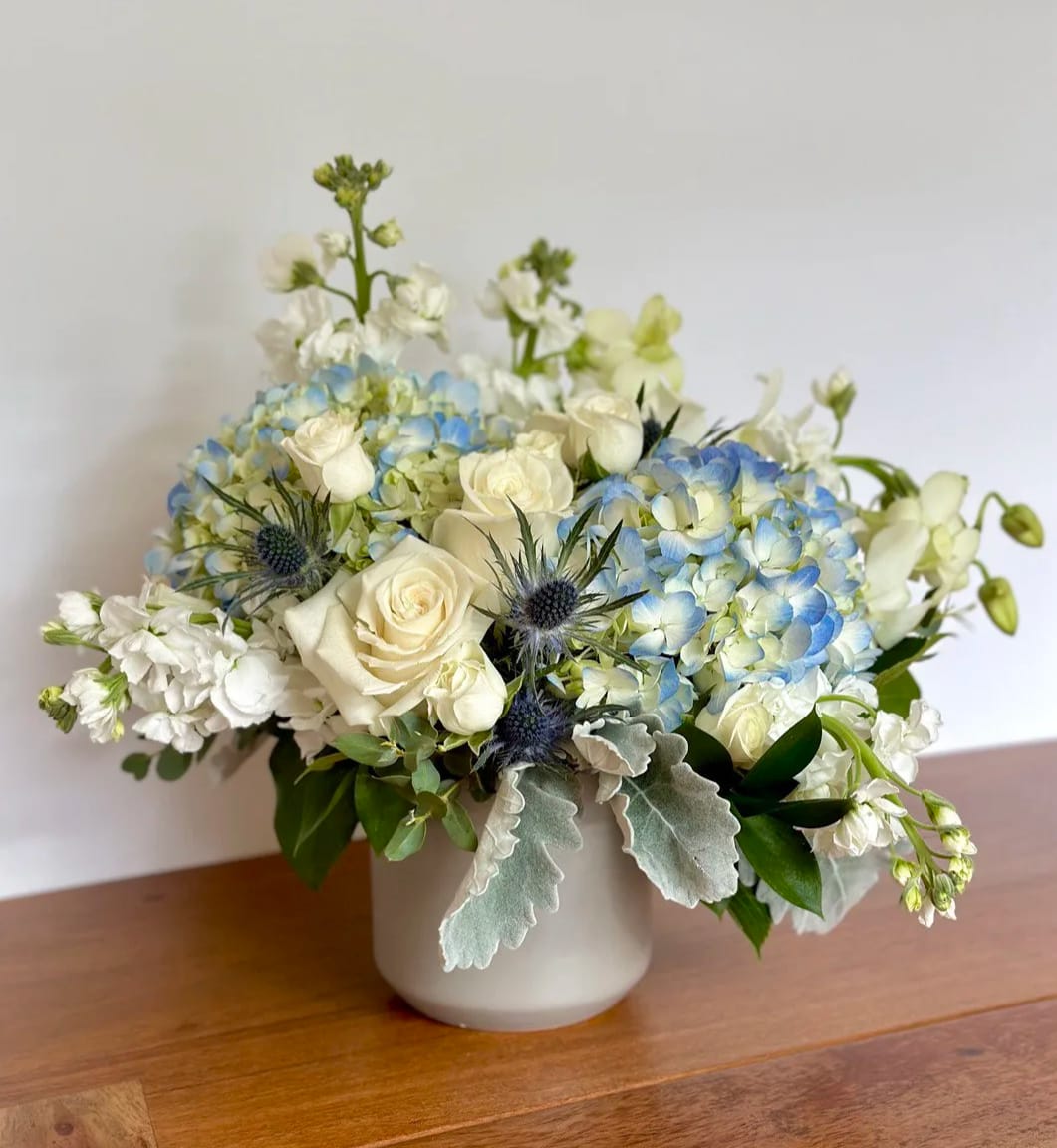White roses and blue hydrangeas arranged in a white vase