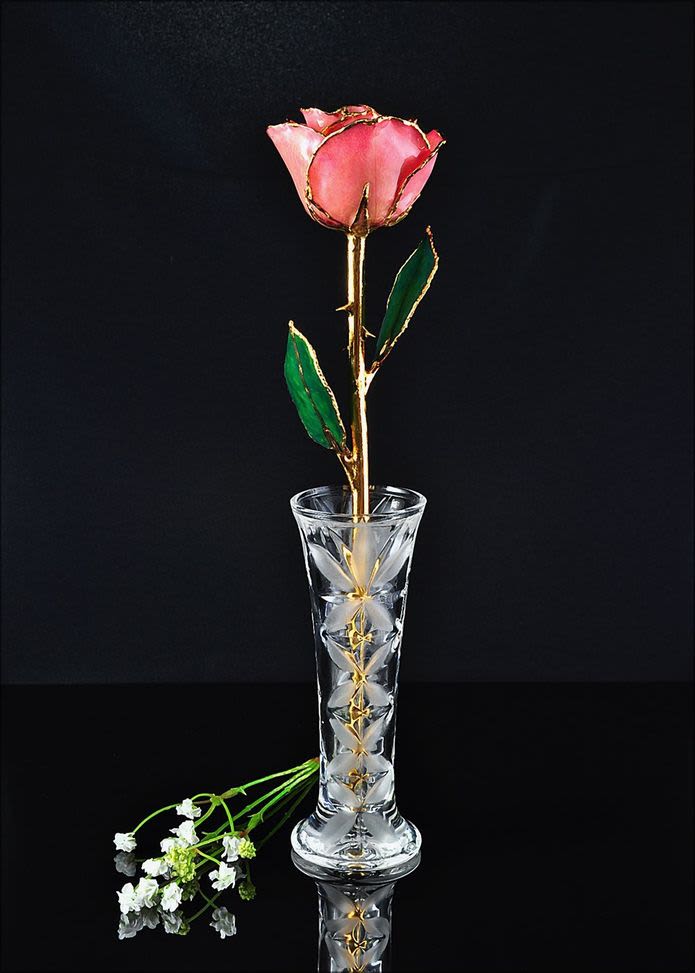 Preserved Pink 24KT Gold Rose in Display Vase - A real rose preserved to last and then trimmed with real 24kt gold and presented in a gift box. This unique forever rose includes a glass display vase.